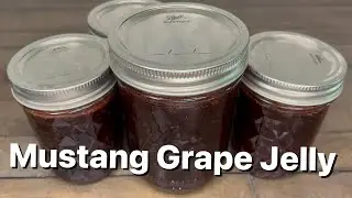 Mustang Grape Jelly (No Pectin Added)
