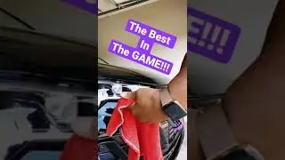 FORTIFY QUICK COAT by SHINE ARMOR #shorts #carcleaning #autodetailing