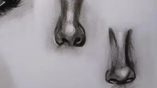 Hyper realistic nose drawing.