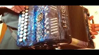 Vendo Sanfona Leticce Bot&atilde;o $5690
