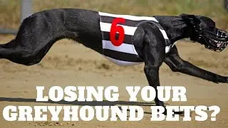 Losing Your Greyhound Bets? | Simple Greyhound System To Follow
