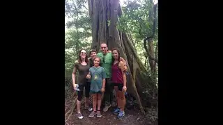 52 Weeks of Why - David Lazowski (Son of a Holocaust Survivor)