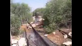 Industrial scale bird trapping with mist nets