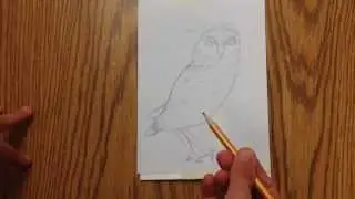 Styrofoam Reduction Print (1)- Creating the Plate for the First Color