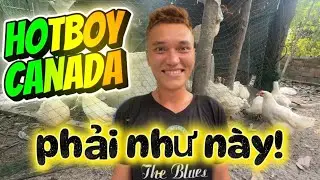 Hotboy Canada phải như này MTQ mới hả dạ!