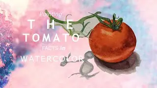 Watercolor Tomato and Facts - Easy Still life Painting Time Lapse