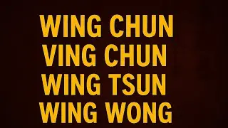 Why do so many Wing Chun schools teach differently, and which one is the real Wing Chun? Episode 7