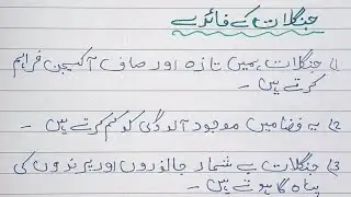 Janglat ke faide pr 10 line ka urdu mazmoon/easy 10 lines essay on advantages of forest