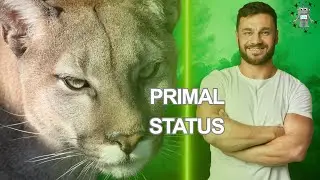The Primitive Behavior That Instantly Makes You Look High-Status