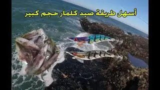 أسهل طريقة صيد الكلمار حجم كبير