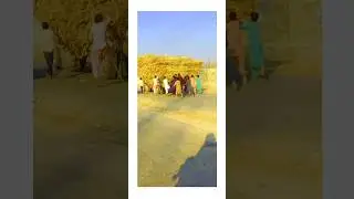 Boys Catching Sugarcane 😂😂 #shorts #funny #monetization