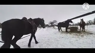 Нове вудило для коня (кобили Аіші)!! Мундштук кінний з важілем!