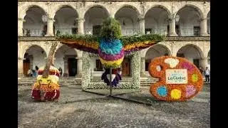 RECORRIDO EN EL FESTIVAL DE LAS FLORES   producciones Master gt