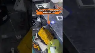 Services And Repairs For All Brands-Chiller & Freezer-Cake Chiller-Refrigerator / Fridge