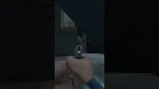 The Perfect DayZ Ambush