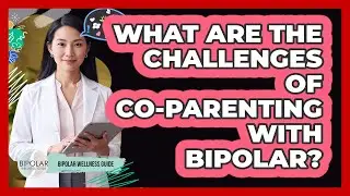 What Are The Challenges Of Co-parenting With Bipolar? - Bipolar Wellness Guide