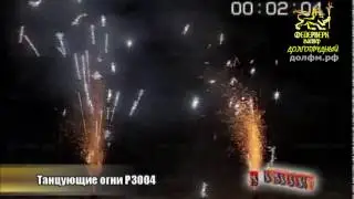 P3004