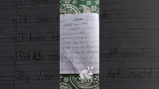 essay on rabbit#shortvideo #education #english