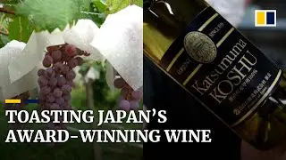 How Japan&rsquo;s koshu grape farmers battle the odds to produce award-winning wine
