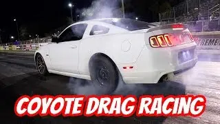 Bolt On N/A Coyote Going for 11s