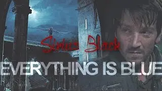ϟ Colors || Sirius Black