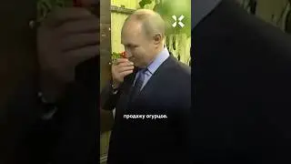 Огурцы в России дороже ананасов
