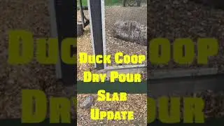 DRY POUR #CONCRETE SLAB 👍 quick 9month #update for 