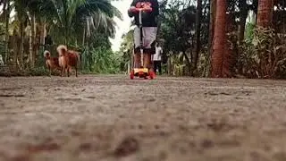 Pandemic gala: Zie loves playing outside❤❤❤🚵&zwj;♀️🤸&zwj;♂️