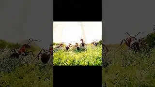 Empire of the Ants PS5 Gameplay | Next Gen Realistic Ant World 🌿🐜