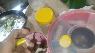 Beti na aj khana m bohat mazedar daal chawal or merch farai banai zaib famliy vlog