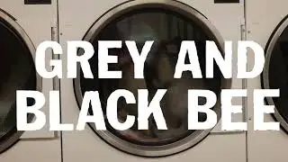 Metal Bubble Trio - Grey and Black Bee (Lyric Video)