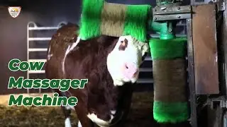 Cow Massager Brush for Dairy Farming