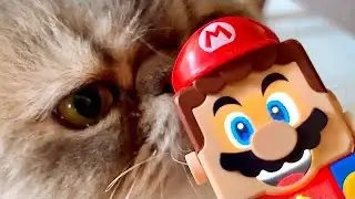 Lego Super Mario Bros Talking to Cats!!