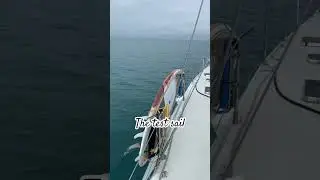 Наш тестовый заплыв #парусныйспорт #моряк #парус #океан #море