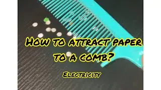 How to attract paper to a comb using static electricity? | Grade 8 Science Experiment | Electricity