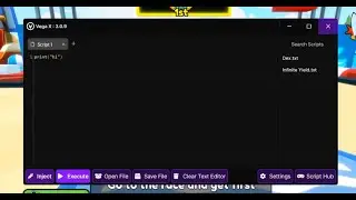 Vega X PC Executor - Free and Simple Executor. 100% UD.