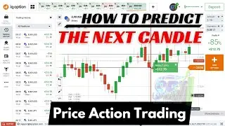 Price Action Trading / IQ Option - Chart Technical Analysis in Tamil