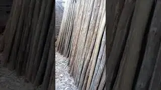 Saify Timber Mart