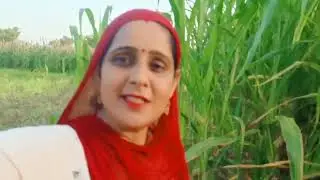 आज गये हम खेत देखने और किया खेत में थोड़ा सा काम और देखा चार सिटे वाला बाजरा🌾❤️