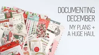 Documenting December Plans + A HUGE Haul!