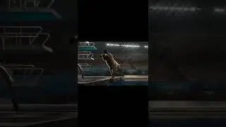 Hyena Water Diving in Animal Olympics #hyena #animals #olympics #waterdiving #realistic