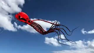 12m octopus kite, Coverack, Cornwall