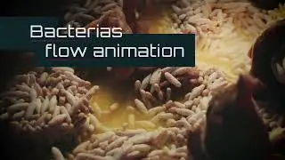 Medical Motion Tutorial Realistic Bacteria Animation using Cinema4D