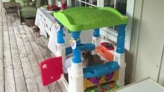 Step2 WonderBall Fun House Review by Viva Veltoro