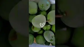 Aam Ka Achar banana sikhao#aam #food #love #minivlog #viral short# trending video#food