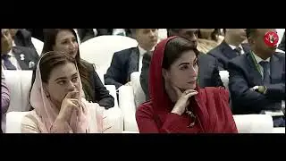 PMIF Glimpse | FWO MEDO