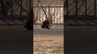 未知との遭遇（笑）