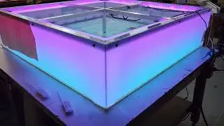 Colour changing lightbox, Shane's Custom Signs