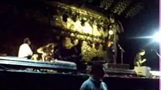mew - introducing palace players