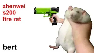 берт: s200 fire rat